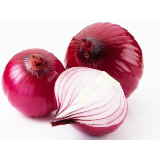 بصل 